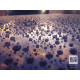 Autoglym Rapid Aqua Wax 500ml Real Carnauba Based Wax Autoglym Rapid Aqua Wax 500ml Real Carnauba Based Wax