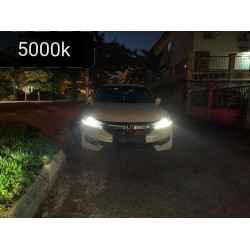 BLAUPUNKT H7 6000K 197260W Head Lamp Fog Lamp LED (1 pair)