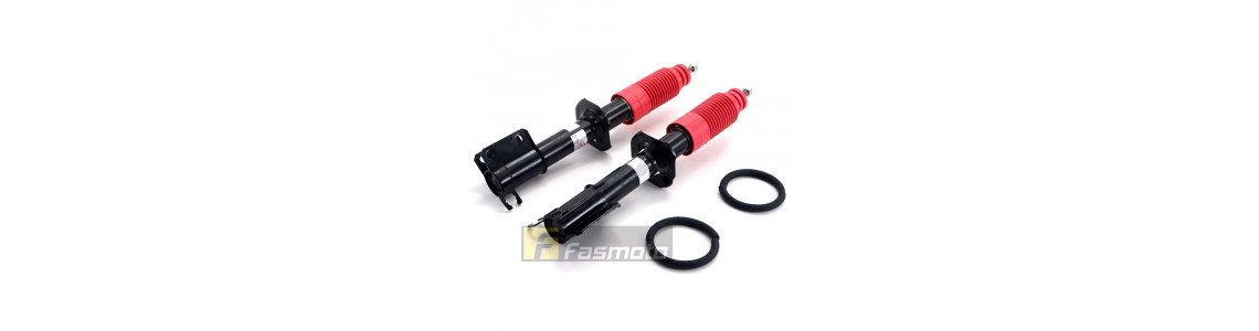 Shocks and Struts