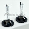 D4S Xenon HID Headlight Bulb 5500K (2 pcs)