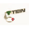 Tein Original Licensed Metal Plate Logo Key Chain