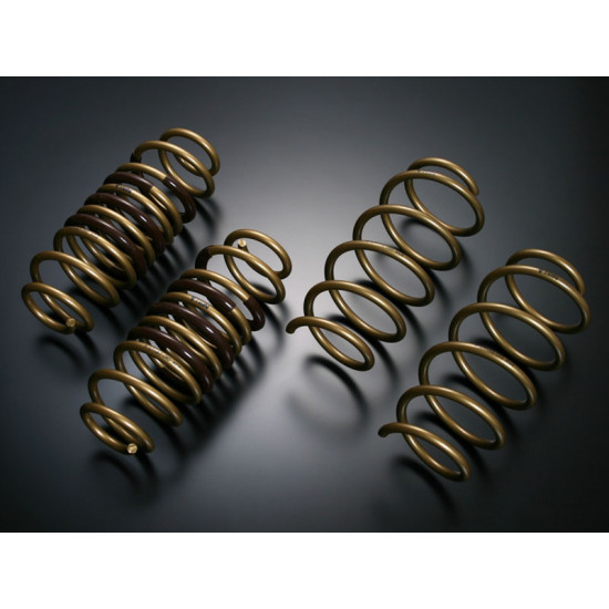 Tein H-Tech Lowering Springs for Honda CRZ ZF1