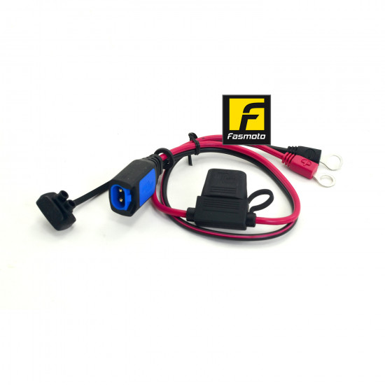 Victron Energy BPC900110014 Automotive Battery Charger M8 Eyelet Connector Victron Energy BPC900110014 Automotive Battery Charger M8 Eyelet Connector